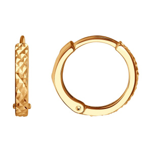 029819 Серьги (Au 585)